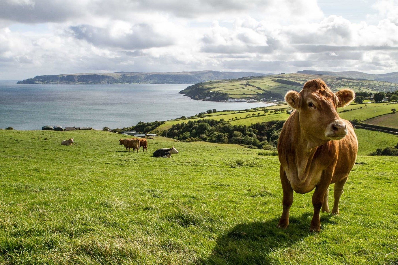 Agricultural Contractor and Farmer Fined €30,000